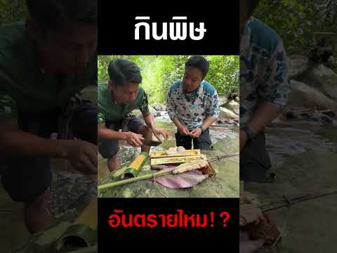 ทดลองกินพิษงูจงอางอันตรายไหม!