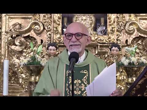 Homilía de Hoy del Padre José - 7 de julio de 2024