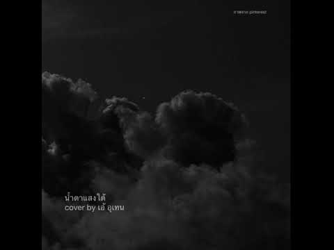 น้ำตาแสงใต้ น้ำตาแสงใต้