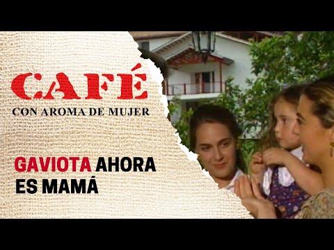 La nueva vida de Gaviota y Sebastián en la hacienda de los Vallejo | Café, con aroma de mujer 1994