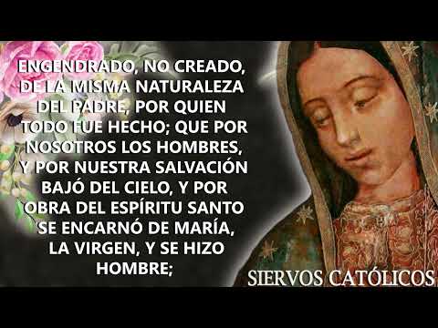 El Santo Rosario de Hoy Viernes 14 de Diciembre 2023  Misterios Dolorosos  Rosario Virgen María d