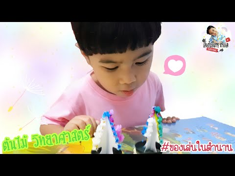 เล่นต้นไม้วิทยาศาสตร์|เล่นก