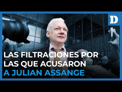 Las filtraciones que llevaron a ser acusado a Julian Assange | El Diario