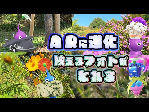 Pikmin Bloom!ARが撮影しやすくなって楽しい!ピクミンブルーム