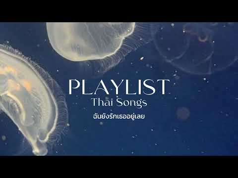 MOONLIGHT Playlistรวมเพลงไทยเศร้าฉันยังรักเธออยู่เลย☆♡:เพลงไทย