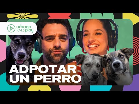 El perro que caminó todo zona sur buscando comida: historias de perros rescatados #OlvidateDeTodo