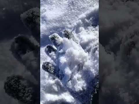 เกล็ดหิมะ❄️🥶snowwinterfin