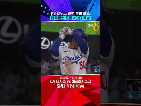 배추도사 완벽 부활 