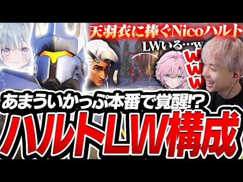 あまういかっぷ本番でラインハルト構成を披露！？まさかの局面で覚醒するNicoハルトが強すぎた...【オーバーウォッチ2 / OW2】