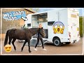 Vrachtwagen HorsetrucksForRent.com - verhuur door heel NL