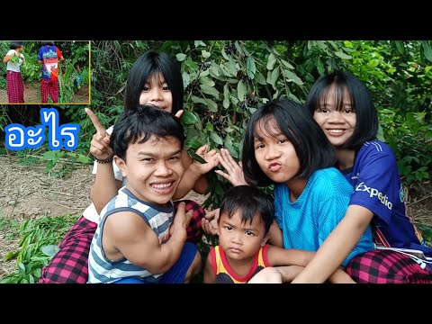 ไปเก็บลำดวน-ใครกินได้น่าอร่อยท ไปเก็บลำดวน-ใครกินได้น่าอร่อยท