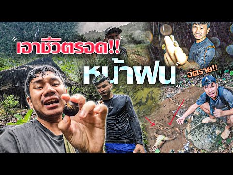 ระทึกเข้าป่าดิบชื้นน่าฝนอันตร