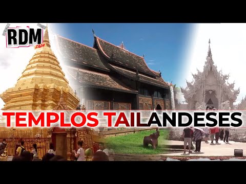 WAT PHRA, WAT LOK MOLEE y CHIANG RAI: los templos más importantes de TAILANDIA