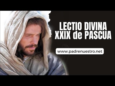 ? LECTIO DIVINA del XXIX día de PASCUA con palabras del PAPA FRANCISCO y Oraciones