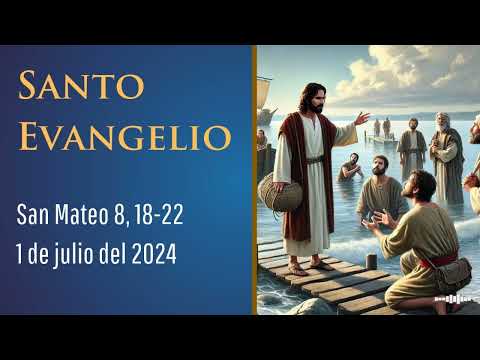 Evangelio del 1 de julio del 2024 según Mateo 8, 18-22