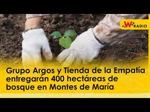 Grupo Argos y Tienda de la Empatía entregarán 400 hectáreas de bosque en Montes de María