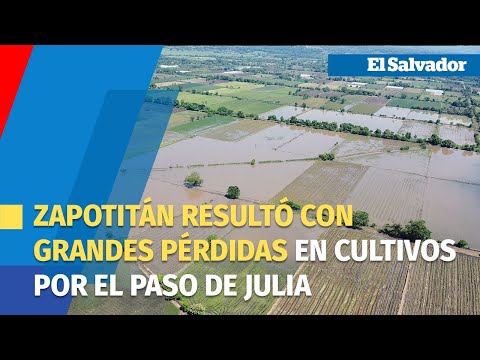 Zapotitán resultó con grandes pérdidas en cultivos por el paso Julia