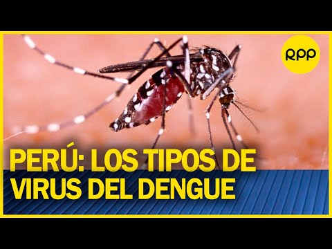 ¿Cuáles son los tres tipos de virus del dengue que hay en Perú?
