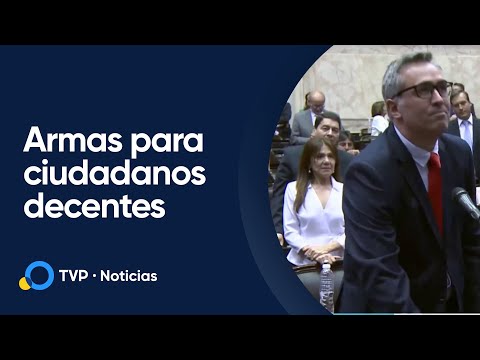 Un diputado pide armas solo para ciudadanos decentes