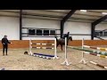 حصان القفز TALENTED HORSE FOR SHOWJUMPING