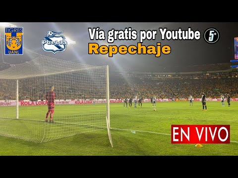 En Vivo: Tigres vs. Puebla, partido Tigres vs. Puebla en vivo vía TUDN
