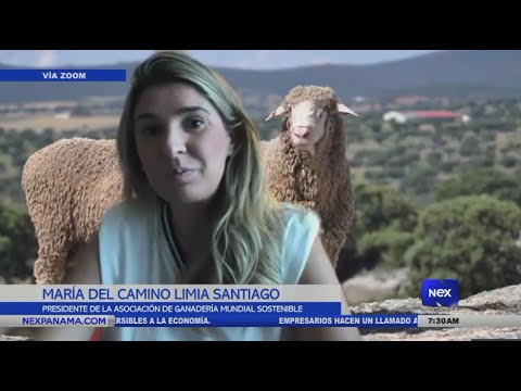 Situación de la ganadería mundial sostenible por María Del Camino Limia Santiago