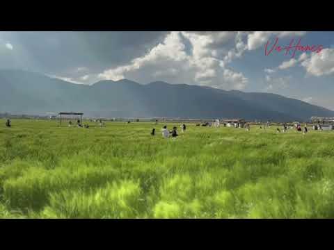 Better Off Alone (Instrumental) - Alice Deejay | 1 hour