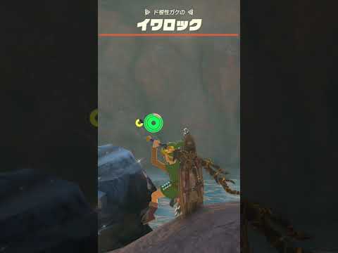 【ティアキン】ド根性ガケのイワロック　ゼルダの伝説ティアーズ オブザキングダムNintendo Switch 2 Edition #zelda #shorts