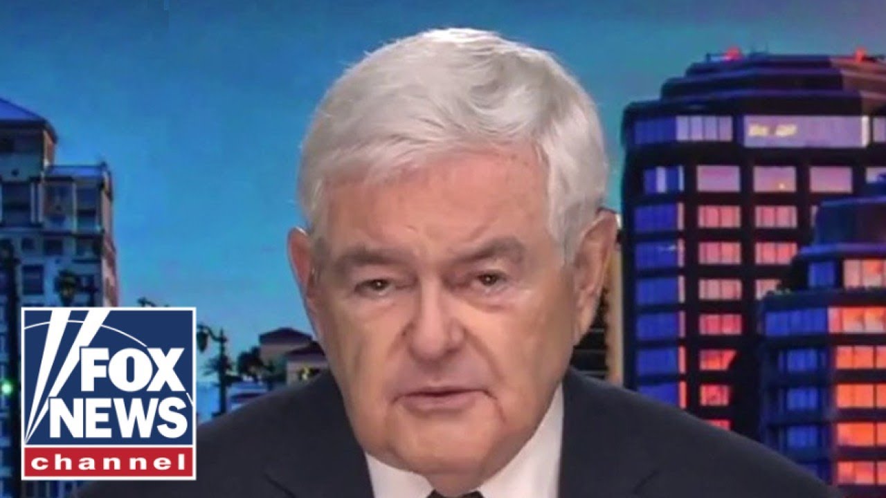 Gingrich: Biden is right and his staff is nuts