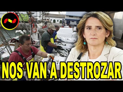 Los pescadores EXPLOTAN contra la ministra Ribera: “NOS VAN A DESTROZAR”