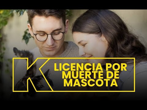 Licencia por muerte de mascotas en Colombia