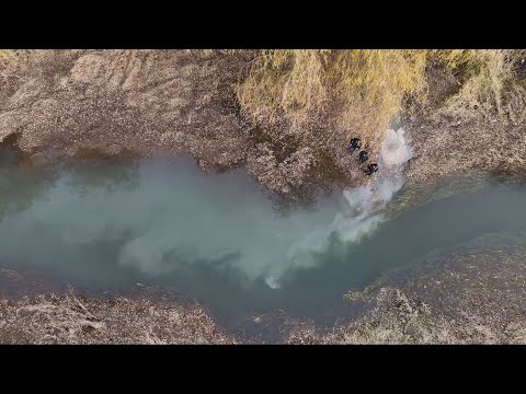 'The stench was so powerful': First Nations in B.C. demand action after toxic spill