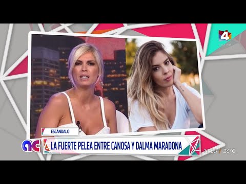 Algo Contigo - Plata manchada con sangre: Duro cruce entre Viviana Canosa y Dalma Maradona
