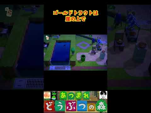 ゴールドトラウトは崖の上で #あつまれどうぶつの森 #shorts #あつ森