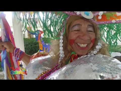 Fiesta De Carnaval En Casa 4RD | Santo Domingo /4