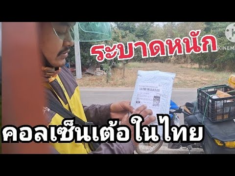 คอลเซ็นเต้อในไทยเริ่มแล้วรีบช