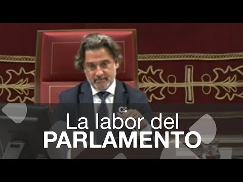 La labor del Parlamento de Canarias tras su disolución