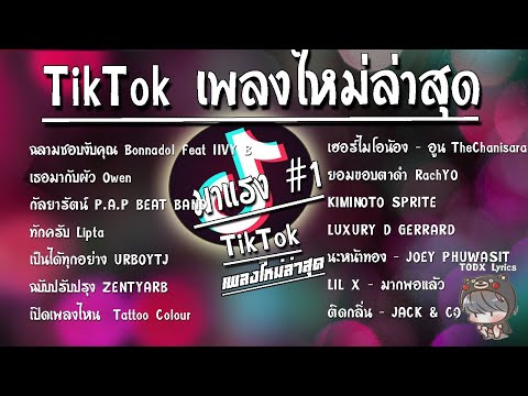 รวมเพลงฮิตในTikTokล่าสุดรวมเพ