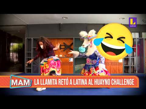 ? La llamita de Mujeres al mando retó a los famosos de Latina al Huayno challenge