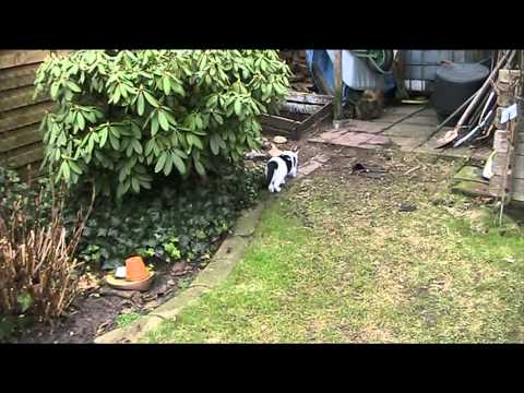 20110208_ich_bin_schon_viel_mutiger