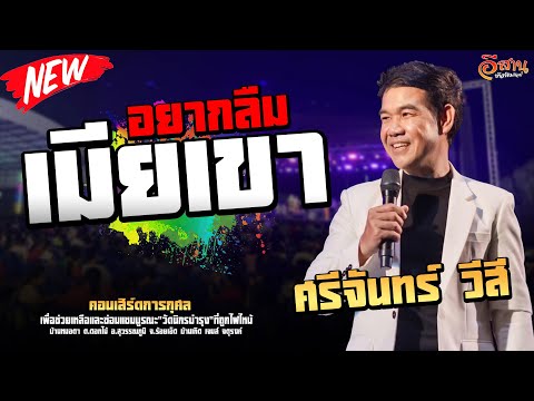 อยากลืมเมียเขา|ศรีจันทร์วีส