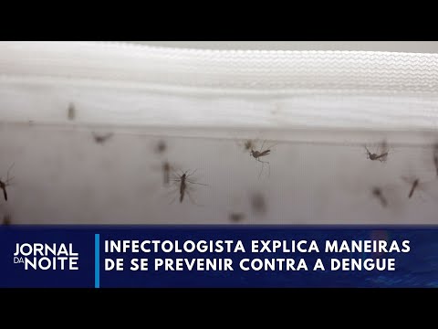 Avanços no combate à dengue foram destaques no Canal Livre