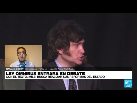 Informe desde Buenos Aires: 'Ley Ómnibus' entra a debate en la Cámara de Diputados