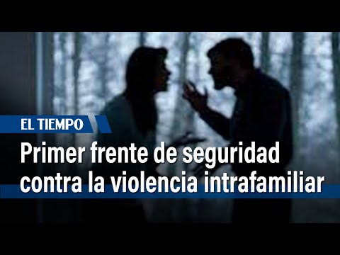 Policía lanza frente de seguridad contra la violencia intrafamiliar en Teusaquillo | El Tiempo