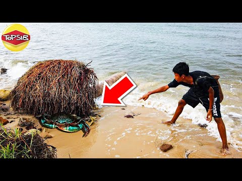 สิ่งสุดเหลือเชื่อบนชายหาดที่อา สิ่งสุดเหลือเชื่อบนชายหาดที่อา