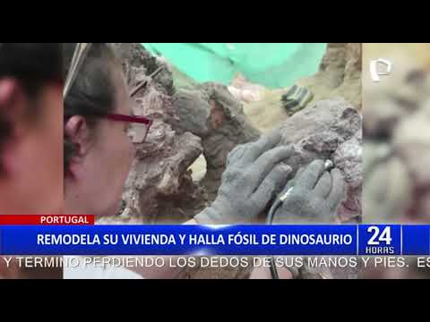 Portugal: Hallan fósil de dinosaurio en el patio de una vivienda