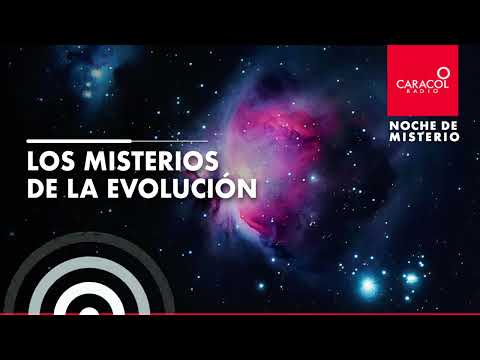 Noche de Misterio | Los misterios de la evolución