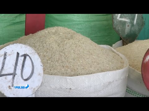 Productores de arroz al borde de quebrar por tratado nuevo con Estados Unidos | Echando El Pulso