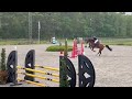 Show jumping horse 7-jarig springpaard Merrie