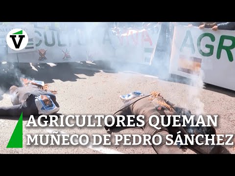 Agricultores queman muñecos de Pedro Sánchez y Planas